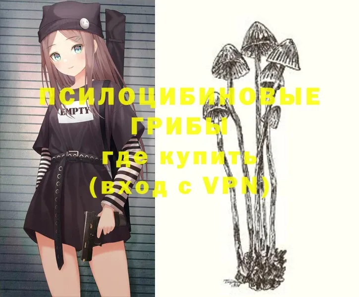 купить закладку  Евпатория  Галлюциногенные грибы Psilocybe 